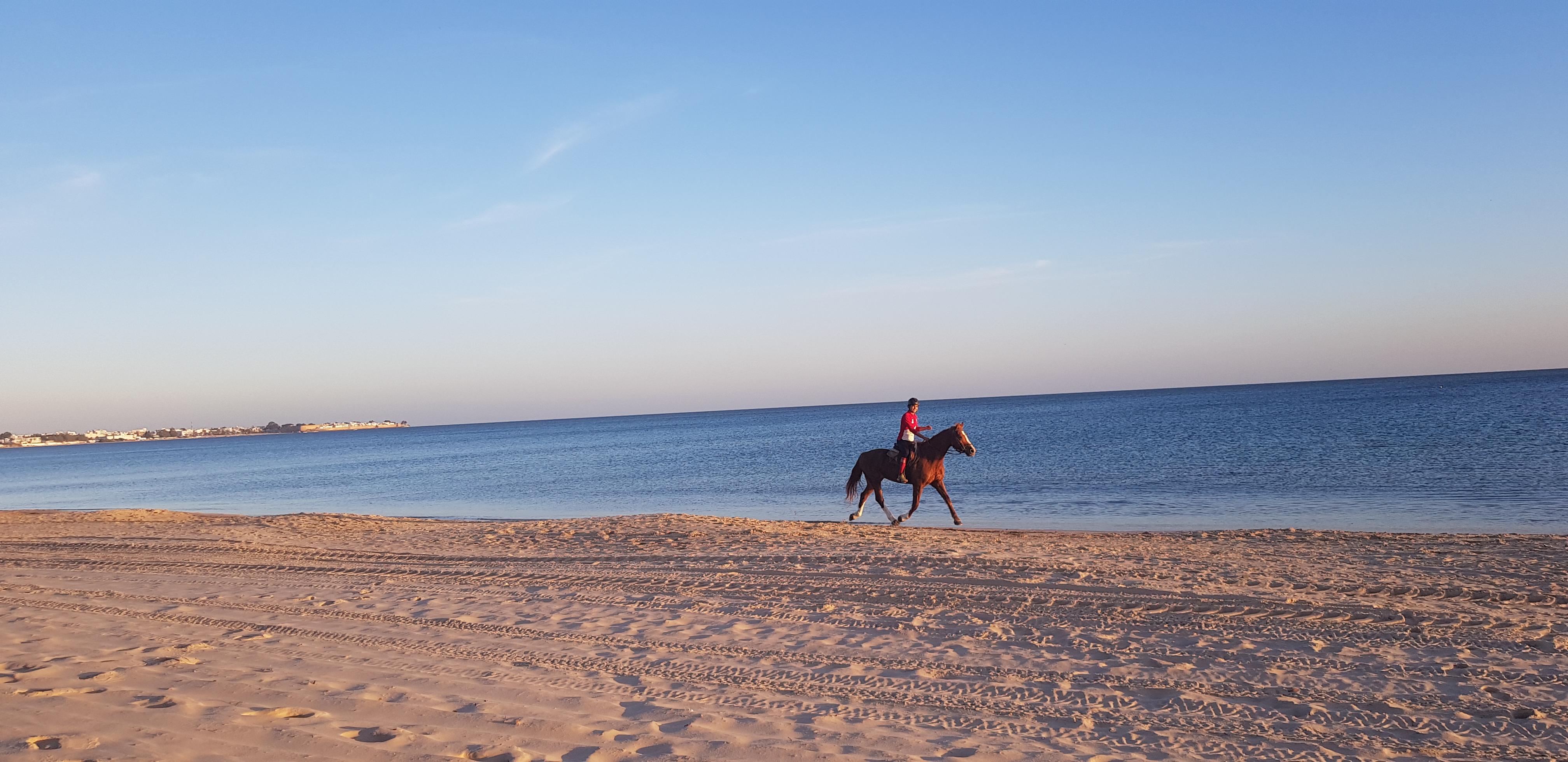 Les Orangers Garden Villas And Bungalows Ultra All Inclusive Хамамет Екстериор снимка Beach in the village